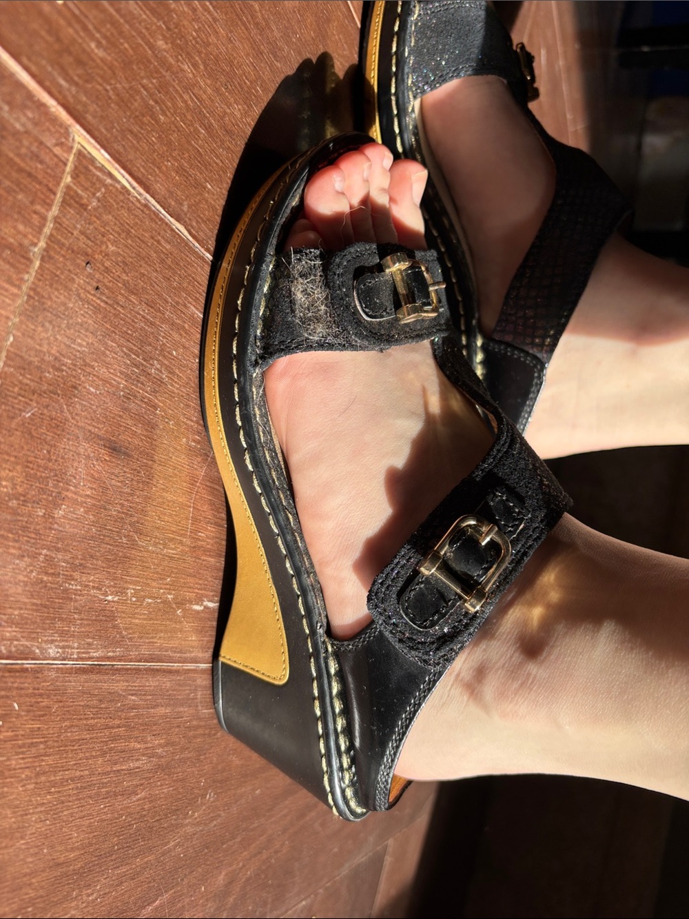 Alegria Black Wedge Clogs with Gold Buckle Accents